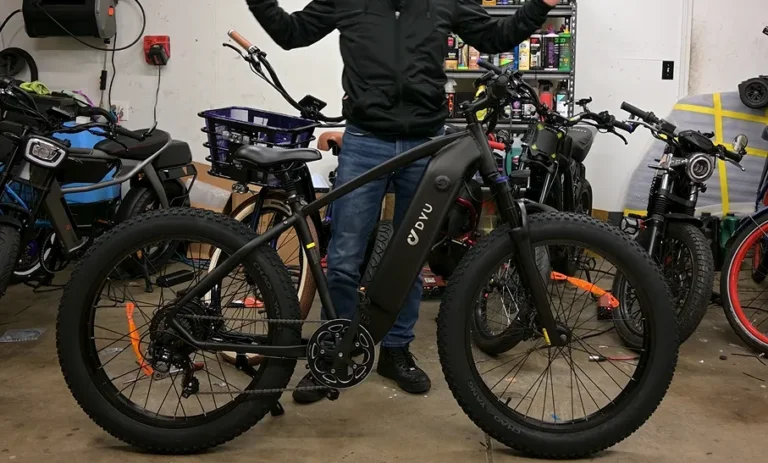 Dyu King 750 Electrical Bike Review »New Generation of Ebike