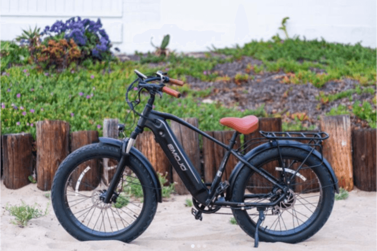 The Ultimate Ride for Adventur – All Around E-Bikes 6 The Ultimate Ride for Adventur – All Around E-Bikes