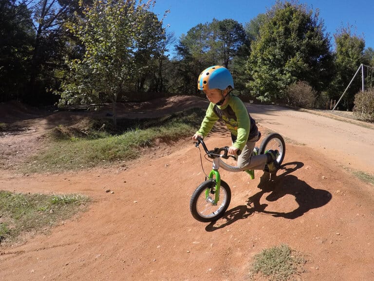 Best Convertible Bicycles (Bikes Balanced with Packers)