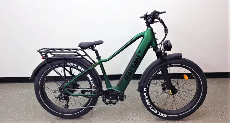 Rattan Pathfinder ST Electric Bike Review 2025