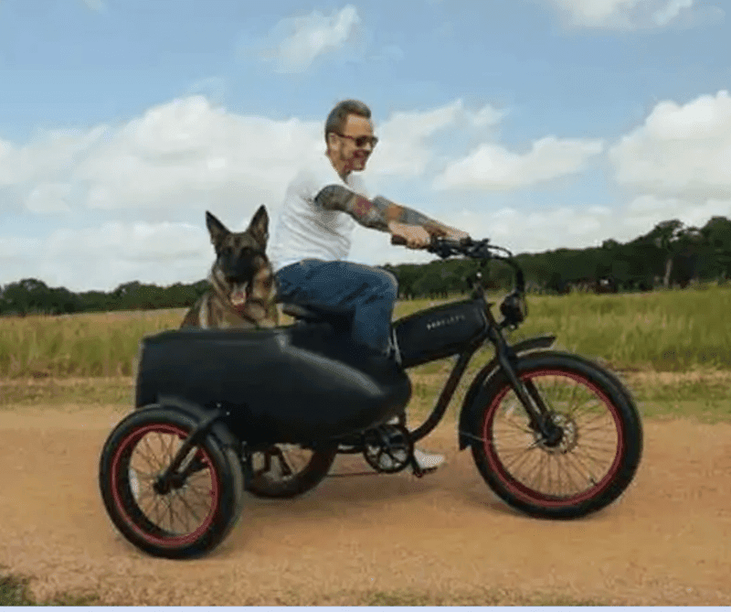 Mod-bikes now has a salecar available 1 SidecarEbike1