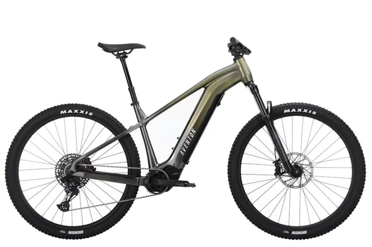 The best affordable EMTB for a middle facility so far?