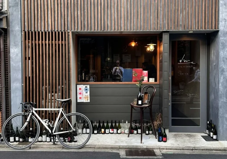 Can you get a dui on a bicycle or an ebike? Here’s what you should know