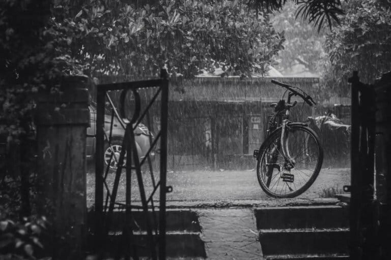 Is It Ok To Get Them Wet? 14 Is It Ok To Get Them Wet?