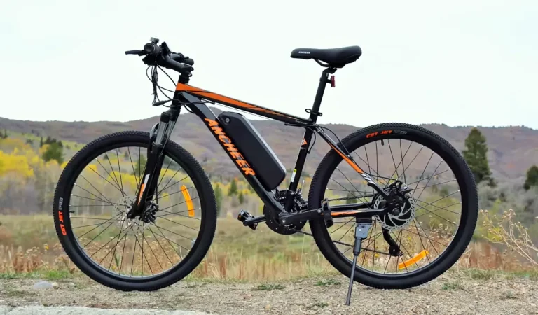 Incheer 500W Electr Mountain Bike Review