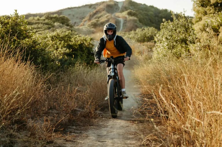 Is it worth ebikes for hunting?