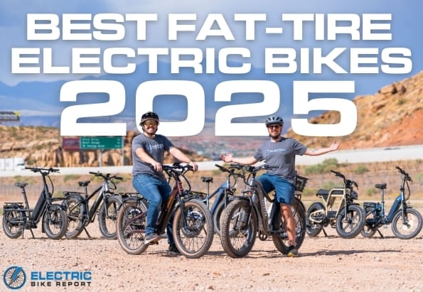 The best electric bicycles for fat 2025