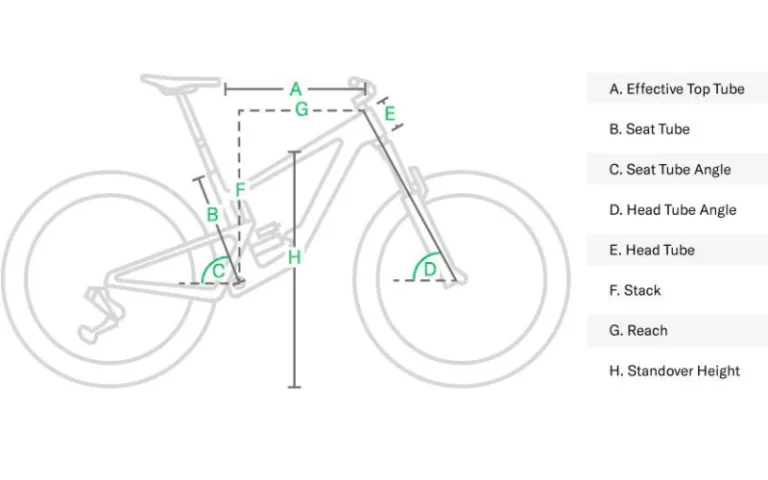 A comprehensive guide on the height and dimensions for cyclists