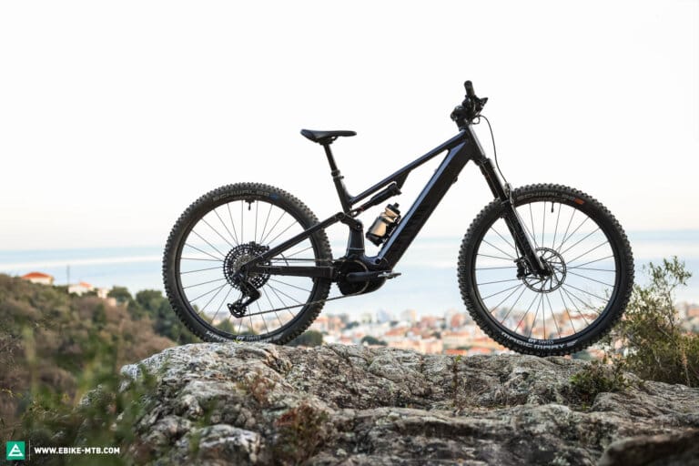 Canyon Neuron:ON AL 9 2025 On Test