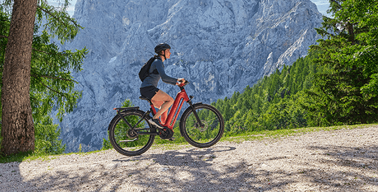 eBikes and Their Role in a More Sustainable Future