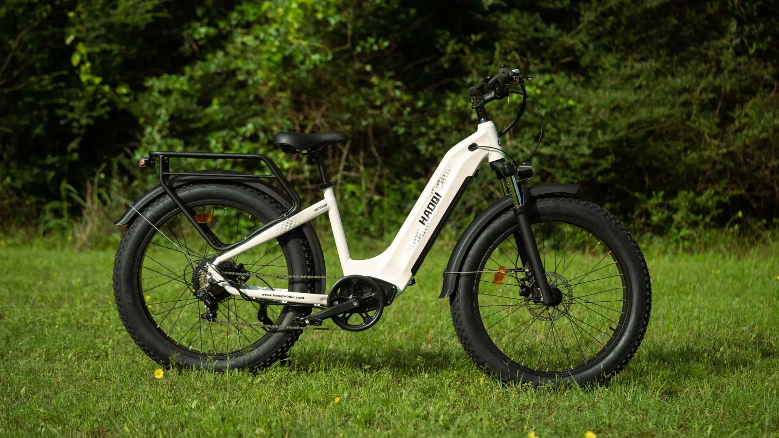 HAOQI Eagle Electric Bike Review.webp