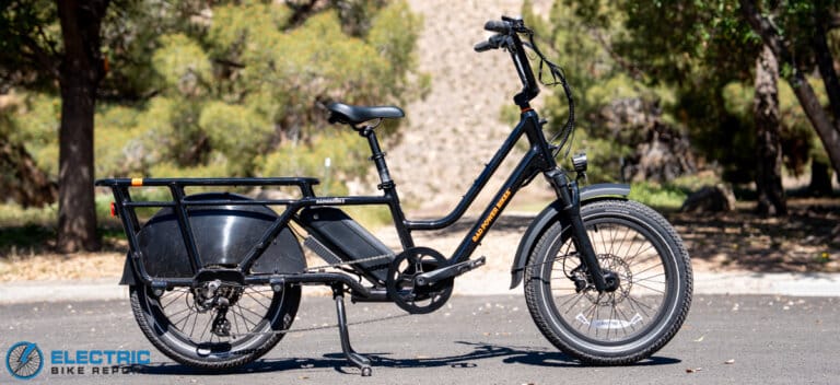 Work Power Bikes Radwagon 5 Review