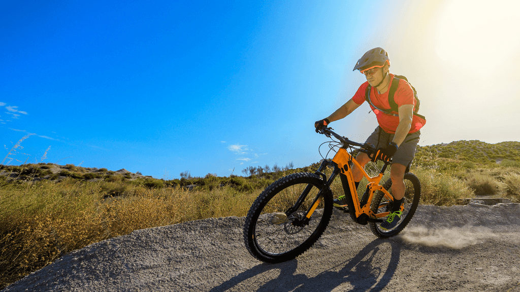 Should You Buy an E-Bike or a Conversion Kit? 1
