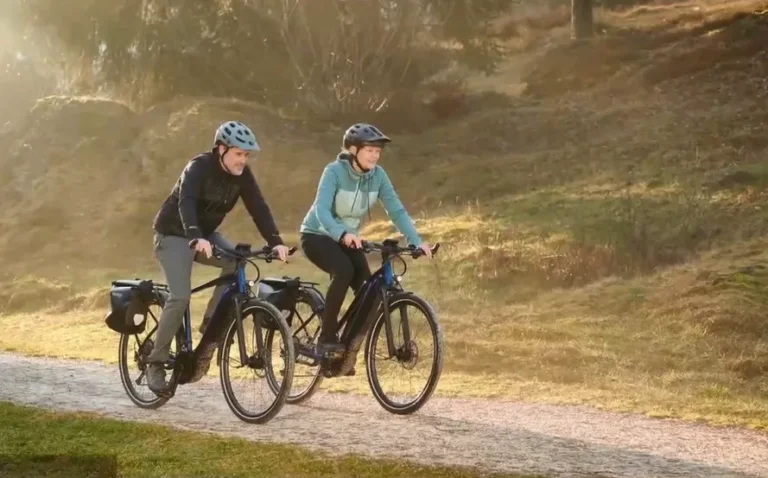 6 Electric Bull Council for Better Reports 4 Electric Bull Council