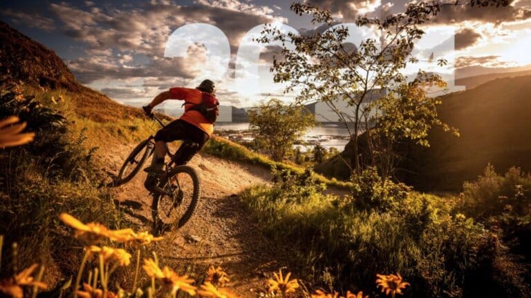 Ebikes.org insights into the e-bickel market on the e-bickel market