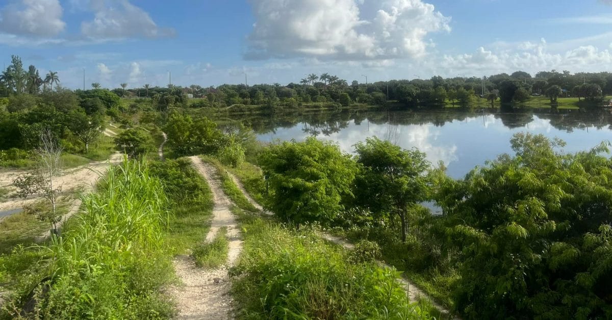 The real problem with high-power electric bikes on mountain bike trails 1 mountain bike trail header