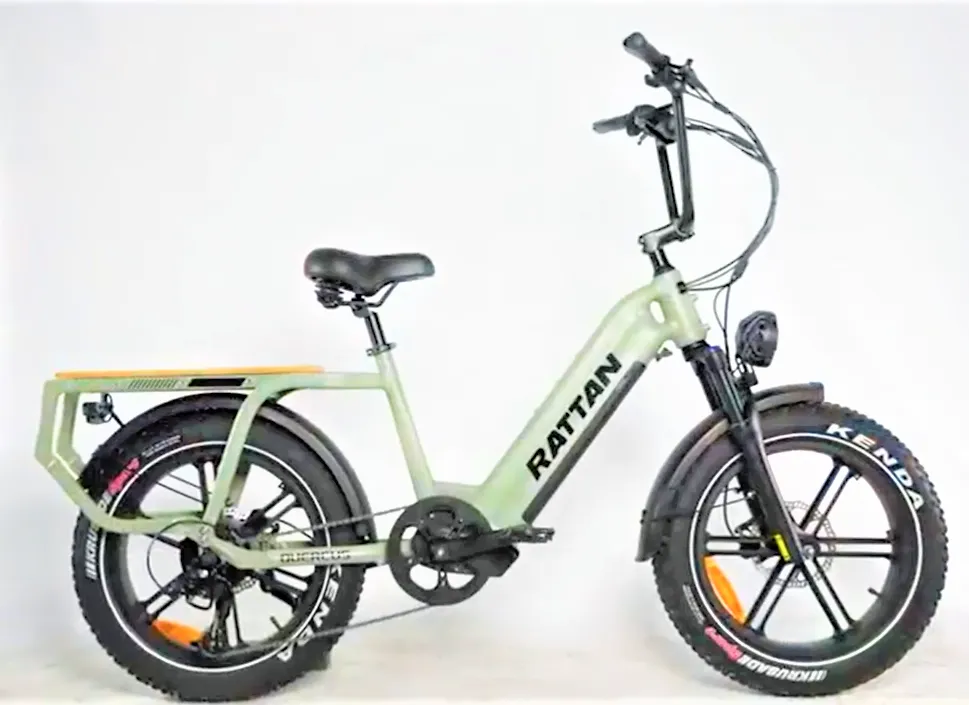 Rattan Quercus Cargo Best Electric bike.webp
